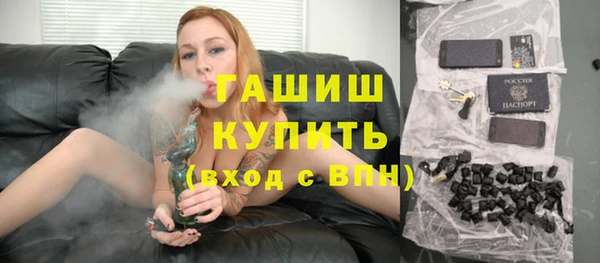 хмурый Алексин