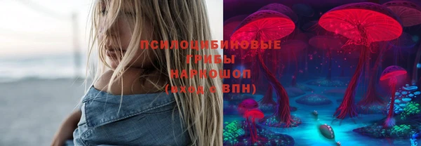 марки lsd Абаза