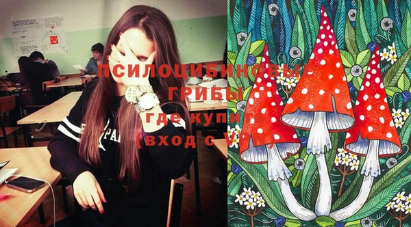 ГАЛЛЮЦИНОГЕННЫЕ ГРИБЫ Абдулино