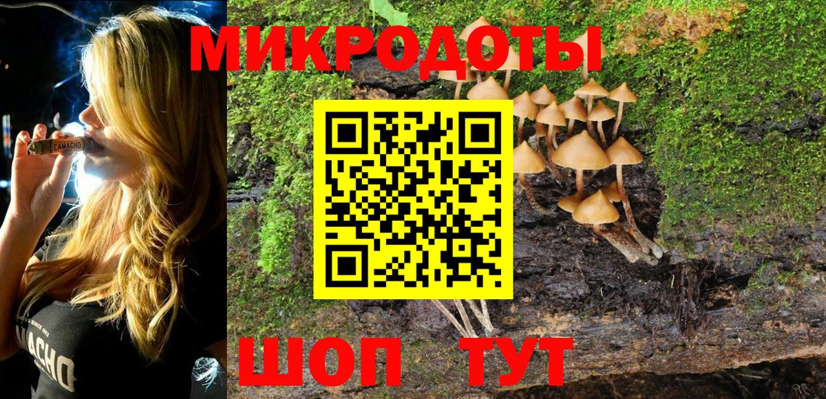 Псилоцибиновые грибы Cubensis  Вход с VPN  Сургут 